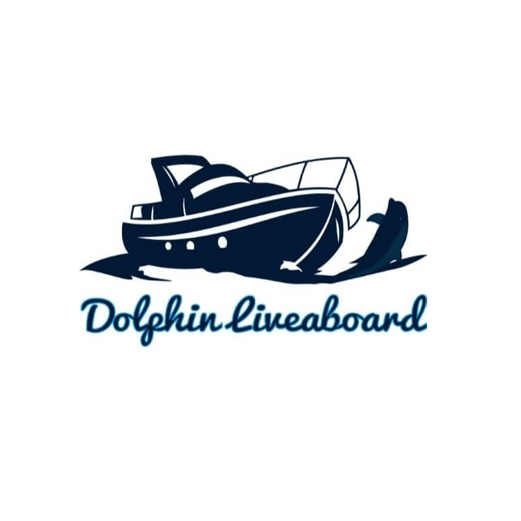 Dolphin Liveaboard